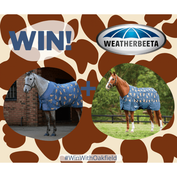 Win a Weatherbeeta Giraffe Set!