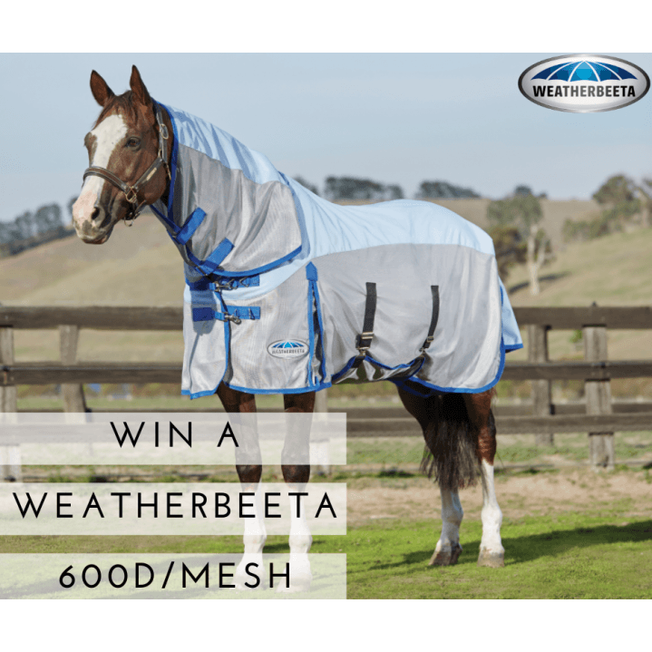 Win a WeatherBeeta 600D/Mesh Rug!