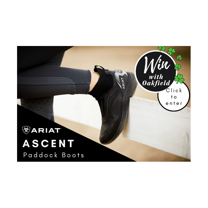Win a pair of Ariat Ascent Paddock Boots