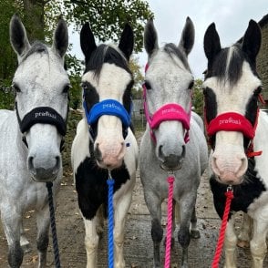 Pravoak Fleece Padded Headcollar & Leadrope Set