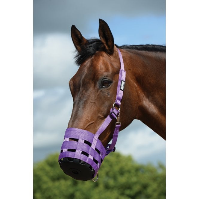 Roma  Grazing Muzzle - Purple