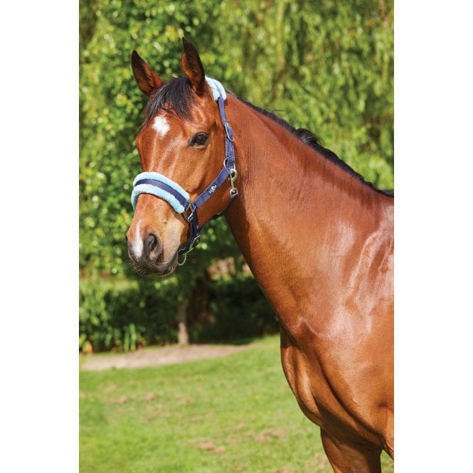 Saxon  Element Fleece Headcollar - Navy/Blue