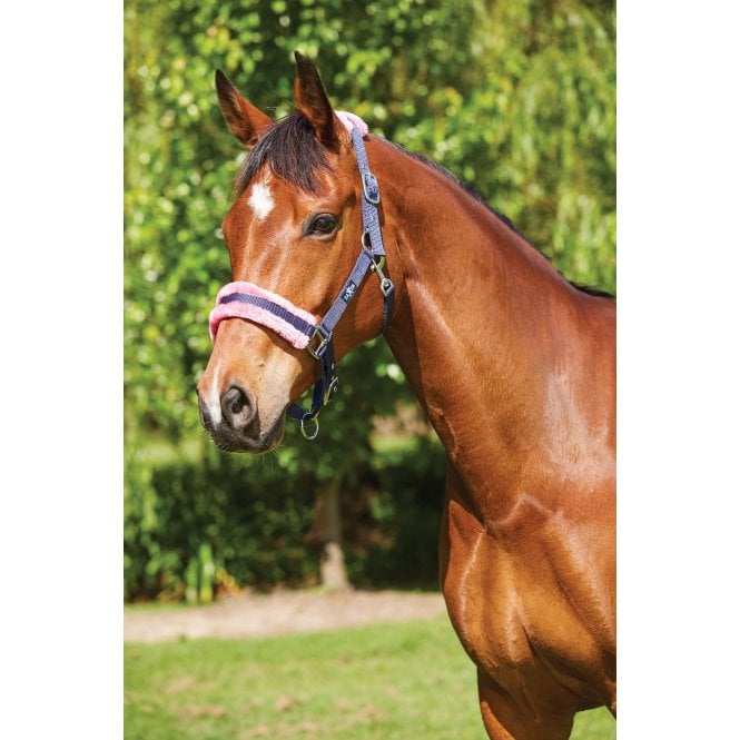 Saxon  Element Fleece Headcollar - Navy/Pink