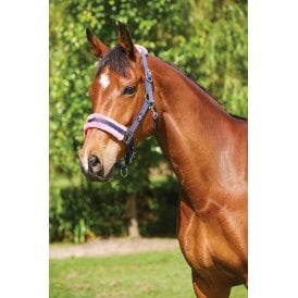 Saxon Element Fleece Headcollar - Navy/Pink