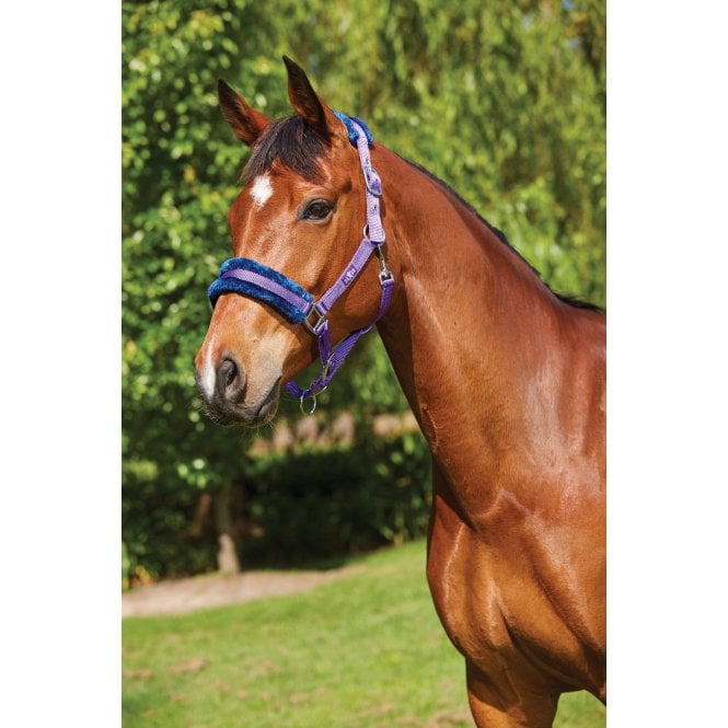 Saxon  Element Fleece Headcollar - Purple/Navy