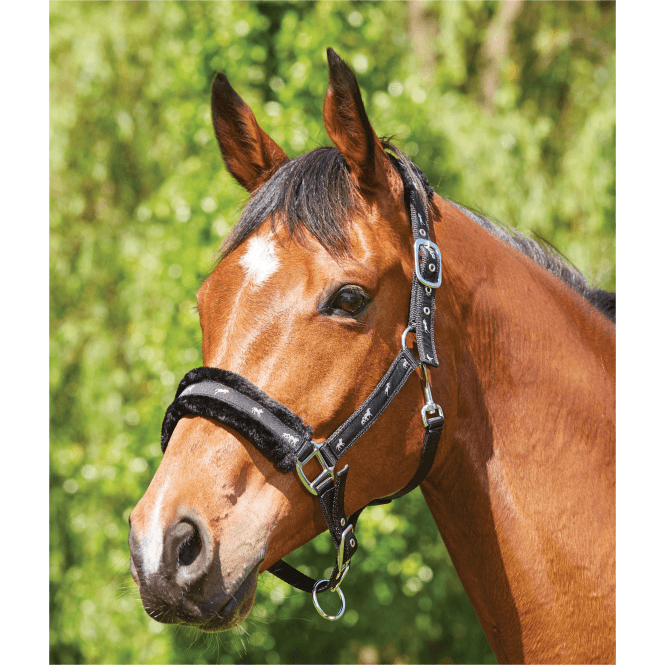 Saxon  Fleece Lined Ribbon Headcollar - Black/Black