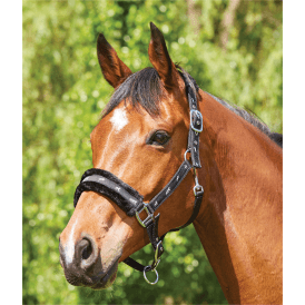 Saxon Fleece Lined Ribbon Headcollar - Black/Black