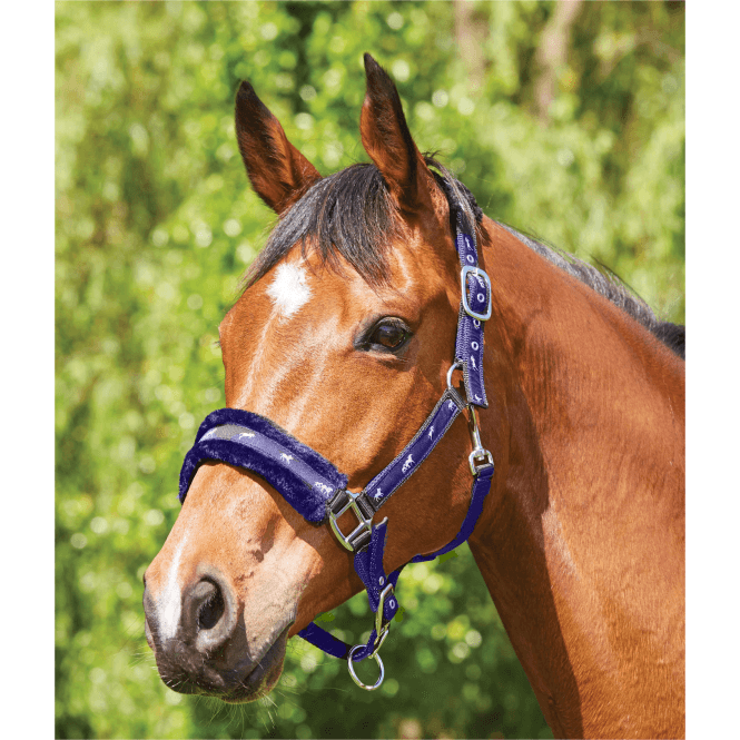 Saxon  Fleece Lined Ribbon Headcollar - Navy/Blue