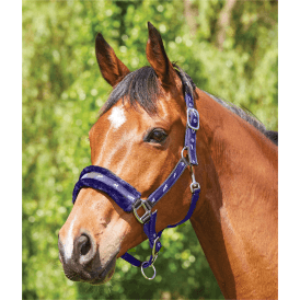 Saxon Fleece Lined Ribbon Headcollar - Navy/Blue
