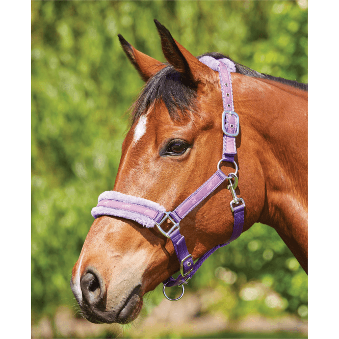 Saxon  Fleece Lined Ribbon Headcollar - Purple/Purple