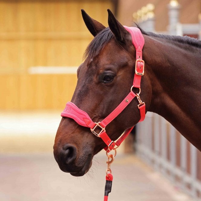 Shires  ARMA Comfy Fleece Headcollar & Rope