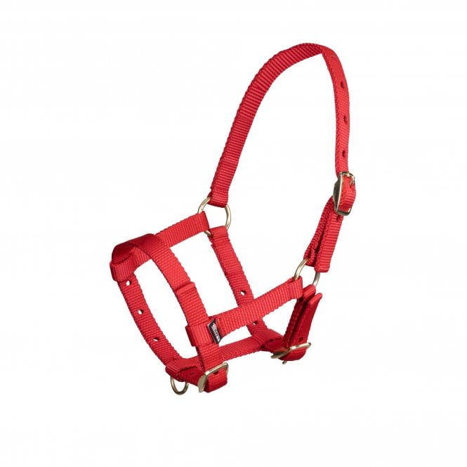 Shires  ARMA Foal Nylon Headcollar