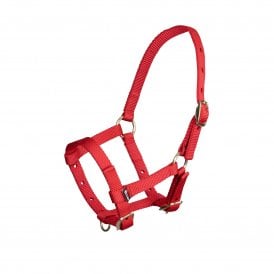 Shires ARMA Foal Nylon Headcollar