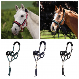 Shires ARMA Logo Headcollar & Lead Rope