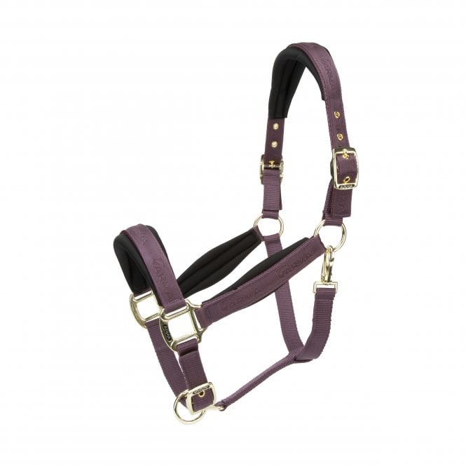 Shires  ARMA Padded Headcollar - Black Cherry