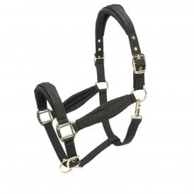 Shires ARMA Padded Headcollar - Black