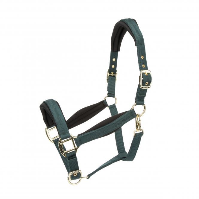 Shires  ARMA Padded Headcollar - Green