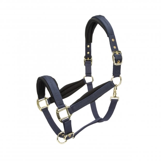 Shires  ARMA Padded Headcollar - Navy Blue