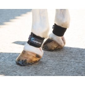 Shires Arma Pastern Wraps - Black