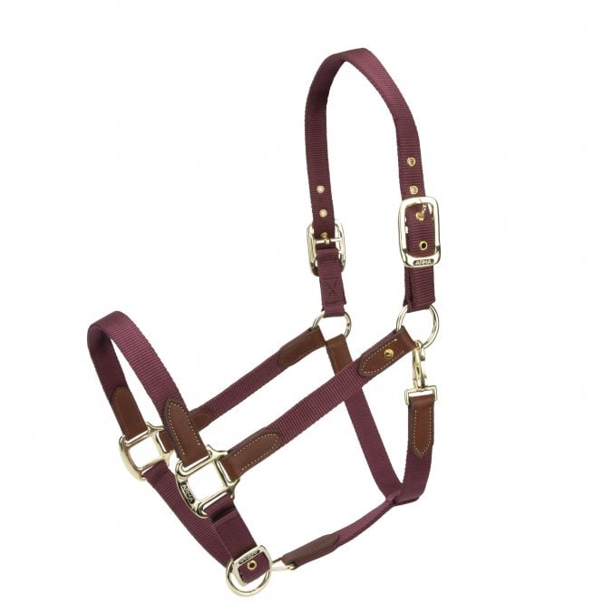 Shires  ARMA Porto Headcollar - Black Cherry