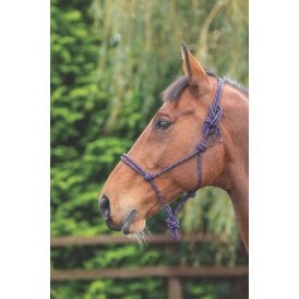 Shires ARMA Rope Control Headcollar