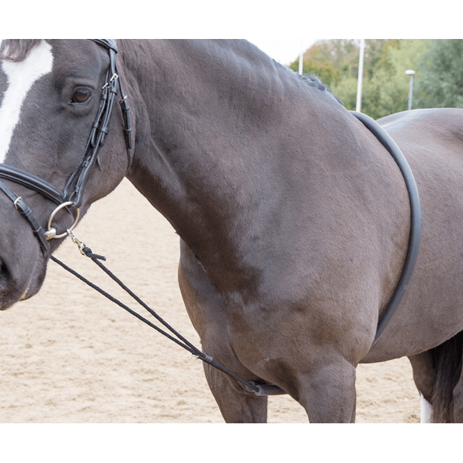 Shires  ARMA Soft Lunging Aid - Black