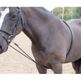 Shires ARMA Soft Lunging Aid - Black