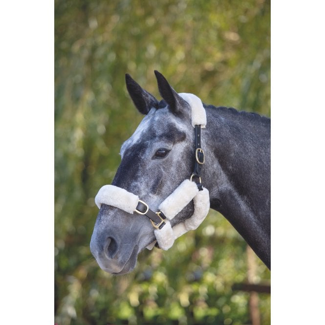 Shires  ARMA SupaFleece Halter Fleeces