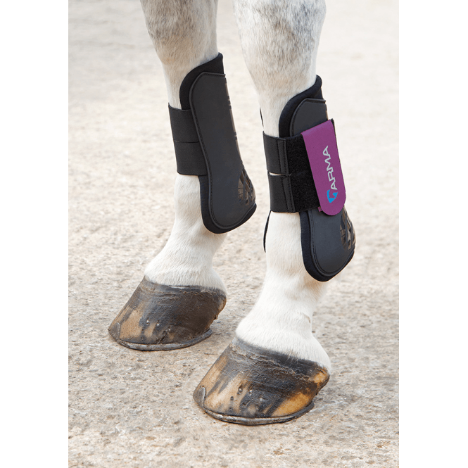 Shires  Arma Tendon Boots - Black/Plum