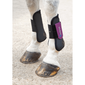 Shires Arma Tendon Boots - Black/Plum