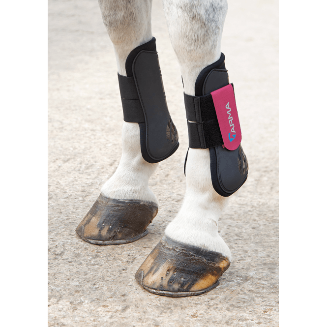 Shires  Arma Tendon Boots - Black/Raspberry