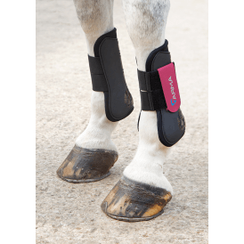 Shires Arma Tendon Boots - Black/Raspberry