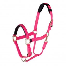 Shires ARMA Topaz Nylon Pony/Horse Headcollar - Pink