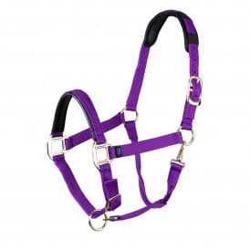 Shires ARMA Topaz Nylon Pony/Horse Headcollar - Purple