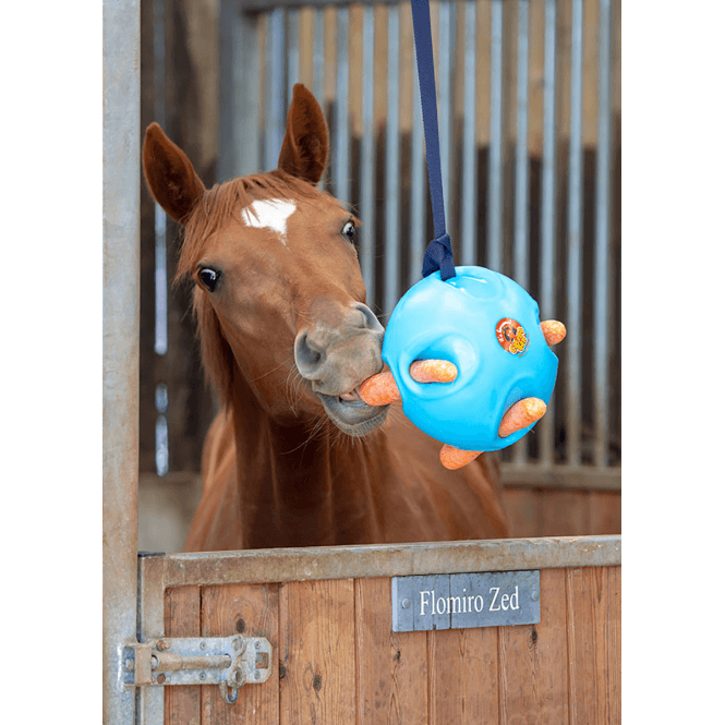 Shires  Carrot Ball - Blue