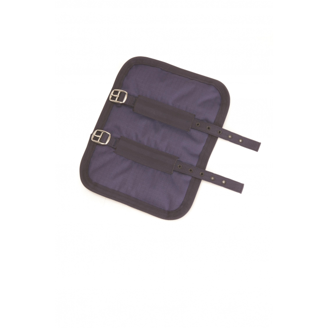 Shires  Chest Expander