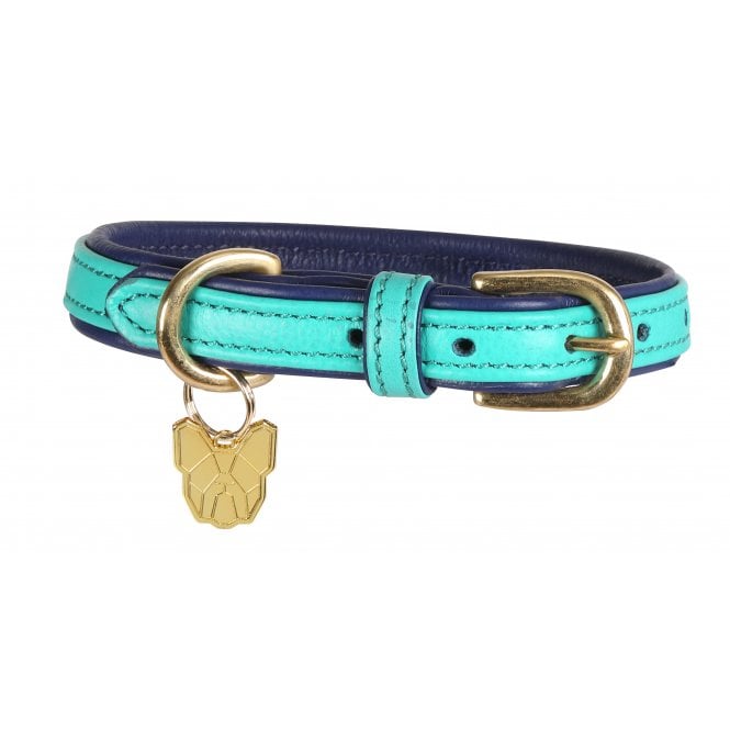 Shires  Digby & Fox Padded Leather Dog Collar - Aqua