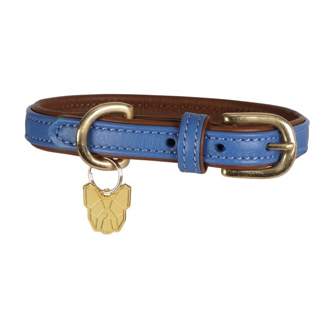 Shires  Digby & Fox Padded Leather Dog Collar - Royal