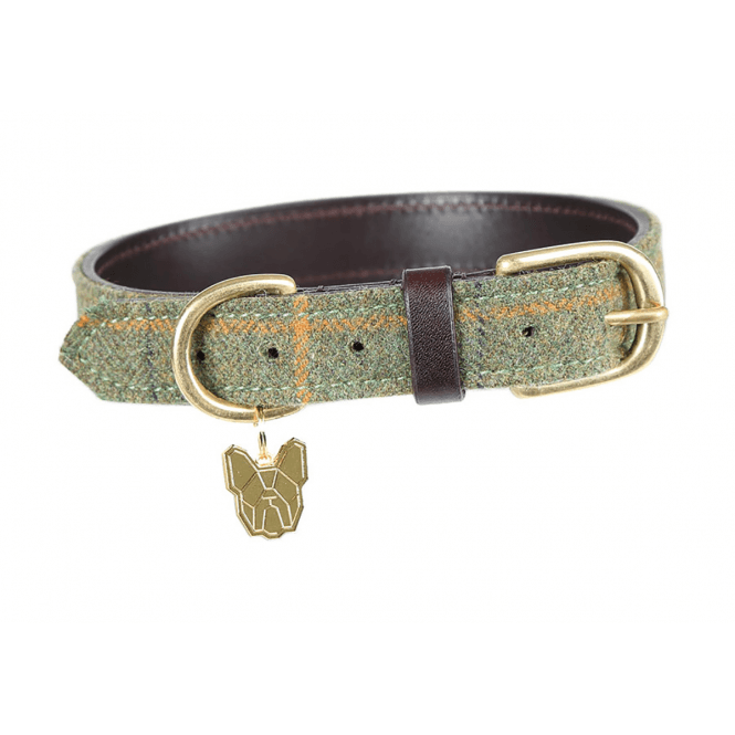 Shires  Digby & Fox Tweed Dog Collar - Red/Yellow/Blue Check