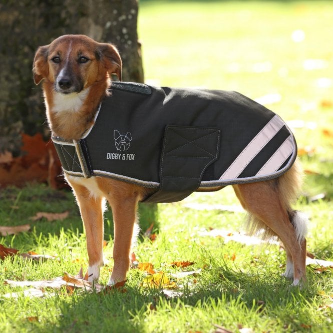 Shires  Digby & Fox Waterproof Dog Coat - Green