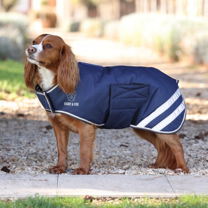 Shires  Digby & Fox Waterproof Dog Coat - Navy Blue