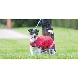 Shires Digby & Fox Waterproof Dog Coat - Red