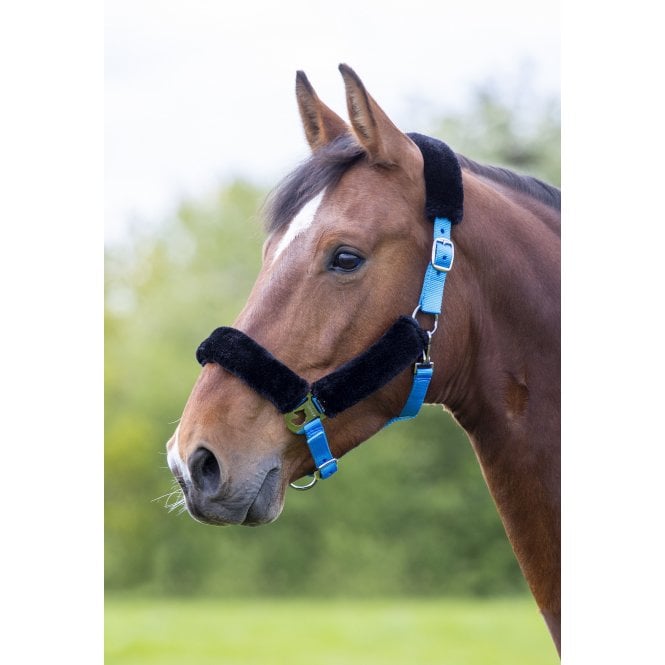 Shires  Fleece Lined Headcollar - Blue