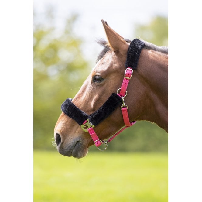 Shires  Fleece Lined Headcollar - Pink