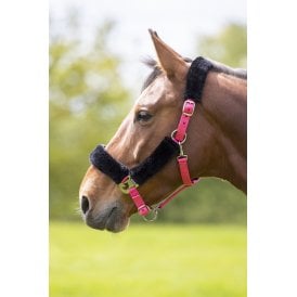 Shires Fleece Lined Headcollar - Pink