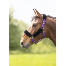 Shires Fleece Lined Headcollar - Purple