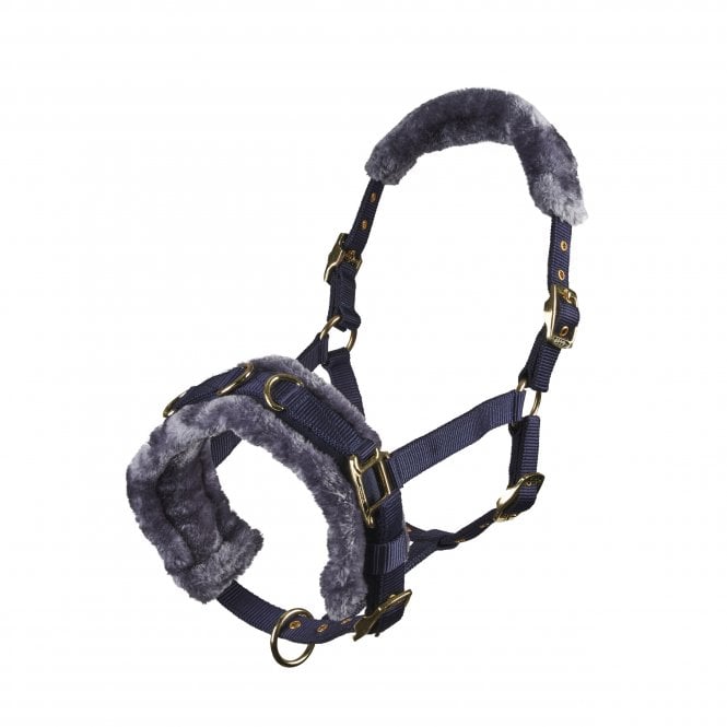 Shires  Fleece Lined Lunge Cavesson - Navy Blue