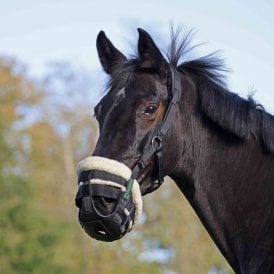 Shires FreeGraze AirFlow Faux Fur Lined Grazing Muzzle - Black