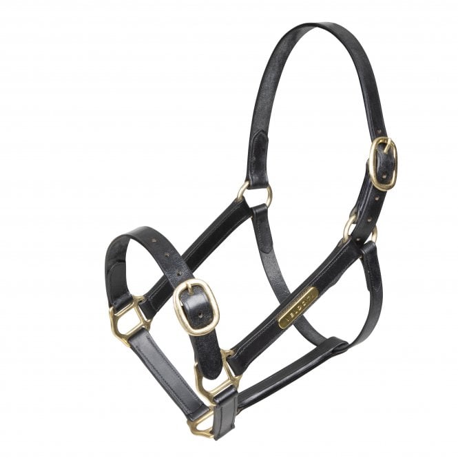 Shires  GARA Fully Adjustable Leather Headcollar