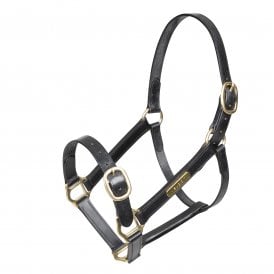 Shires GARA Fully Adjustable Leather Headcollar